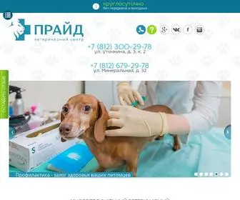 Oncovet.ru(Ветеринарный многопрофильный госпиталь) Screenshot