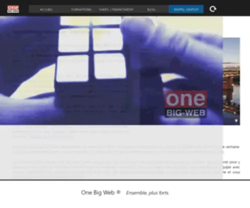 One-Big-Web.biz(One Big Web) Screenshot