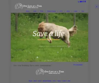 Oneliferescue.org(One Life at a Time) Screenshot