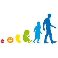 Oneofus.Study Favicon