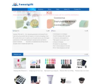 Onewestgift.com(Shenzhen 1West Gift Co) Screenshot