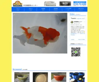 Onoda-Kansyogyo.com(水草と人情の販売店) Screenshot