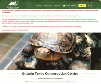 Ontarioturtle.ca(Making Ontario a safer place for turtles) Screenshot