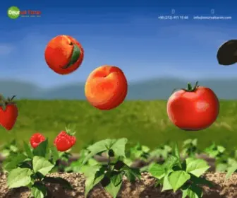 Onursaltarim.com.tr(Onursal Tarım) Screenshot