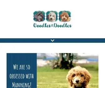 OOOdlesofdoodles.com(Goldendoodles) Screenshot