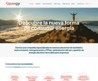 Opengy.com(Nuevas formas de suministro y gestión de energía renovable) Screenshot