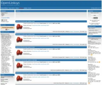 Openlinksys.info(Pamięć sieciowa) Screenshot