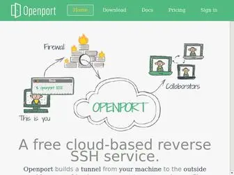 Openport.io(Easy and secure reverse SSH) Screenshot