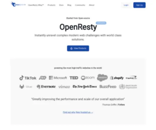 Openresty.com(Enterprise solutions) Screenshot