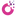 Opeus.com Favicon