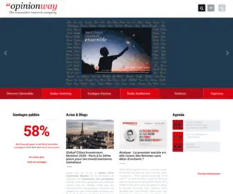 Opinion-Way.com(The innovative research company) Screenshot
