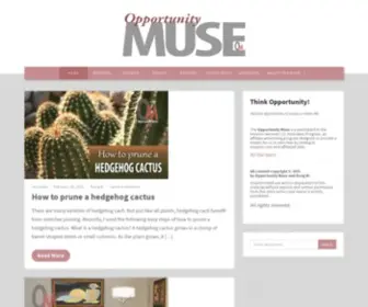 Opportunitymuse.com(Opportunity Muse) Screenshot