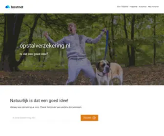 Opstalverzekering.nl(De grootste domeinnaam) Screenshot