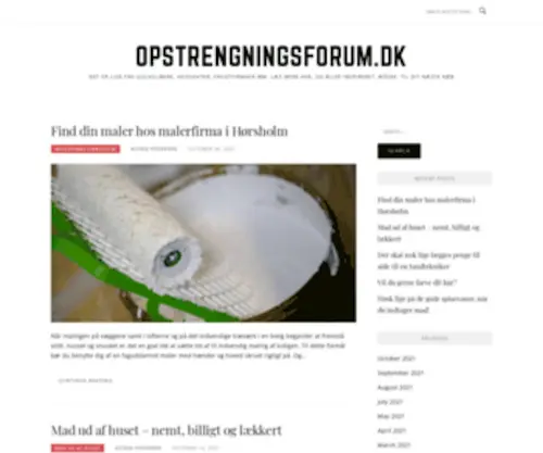 Opstrengningsforum.dk(Det er lige fra gulvslibere) Screenshot