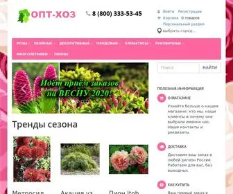 OPT-Hoz.ru(Интернет) Screenshot