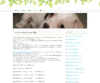 Optimumrecovery.com(ドッグフードのカロリーはどう選ぶ) Screenshot