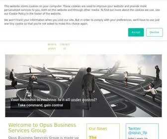 Opusllp.com(Opus Business Advisory Group) Screenshot