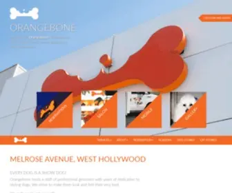 Orangebone.com(A full) Screenshot