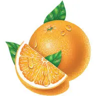 Orangeglo.com Favicon