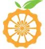 Orangepi.com Logo