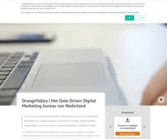 Orangevalley.nl(Grensverleggend in Online Marketing) Screenshot