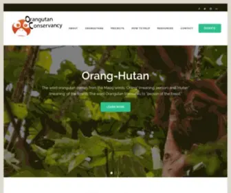 Orangutan.com(The Orangutan Conservancy (OC)) Screenshot