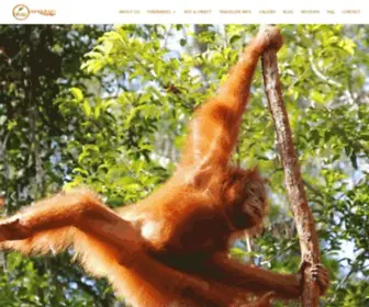 Orangutanvoyage.com(Orangutan Voyage) Screenshot