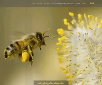 Oranta.ir(اورانتا) Screenshot