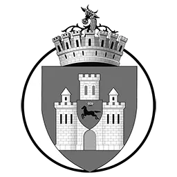 Orasul-Iasi.ro Favicon