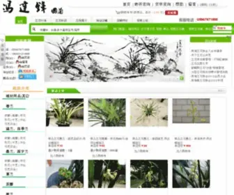 Orchid-China.com(冯达锋国兰) Screenshot