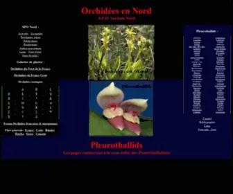 Orchid-Nord.com(Index) Screenshot