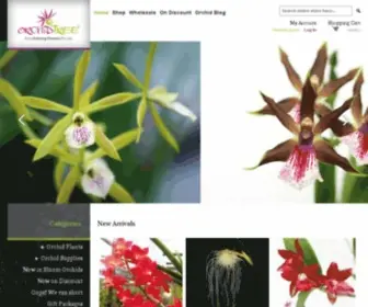 Orchid-Tree.com(Buy from 100) Screenshot