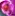 Orchideaviraguzlet.hu Favicon