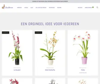 Orchideee.nl(Voor iedere gelegenheid een origineel idee) Screenshot