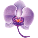 Orchideethaimassage.ch Favicon