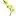 Orchidegartneriet.dk Favicon