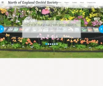 Orchid.org.uk(All about orchids caring for orchids and how to grow them) Screenshot