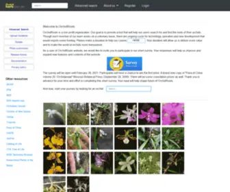 Orchidroots.org(OrchidRoots) Screenshot