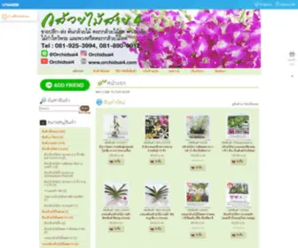 Orchidsai4.com(กล้วยไม้สาย4) Screenshot