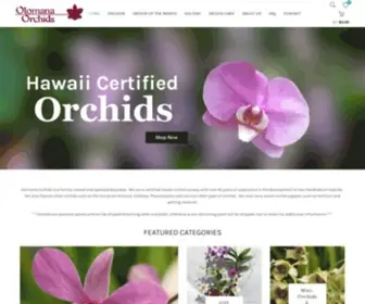 Orchidshi.com(Orchids grown on the North Shore of Oahu) Screenshot