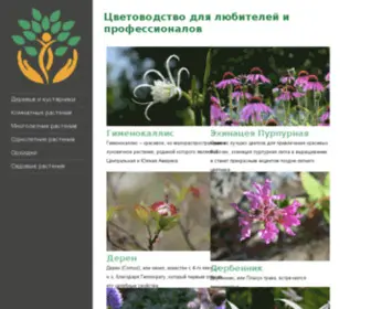 Orchis.ru(Узнать о Цветоводстве от А до Я ⚘ в интернет) Screenshot