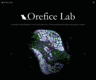 Oreficelab.org(Orefice Lab) Screenshot