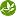 OrganicGreencoffee.in Favicon