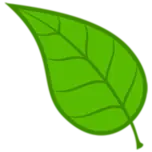 Organicosfertisol.com Favicon