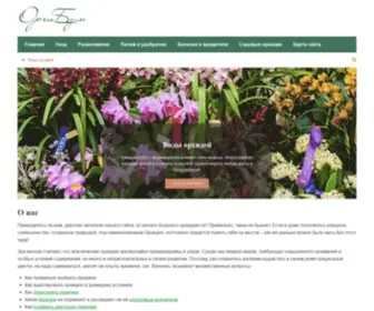 Orhibum.ru(Орхибум) Screenshot