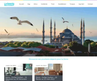 Orientservices.fr(Orient Services) Screenshot