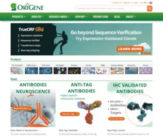 Origene.com(Validated Antibodies) Screenshot