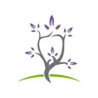 Origindentalwellness.com Favicon