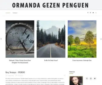 Ormandagezenpenguen.com(Yiğit) Screenshot