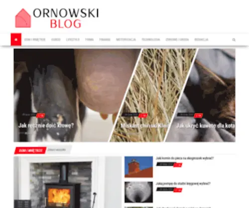 Ornowski.pl(Transport międzynarodowy) Screenshot